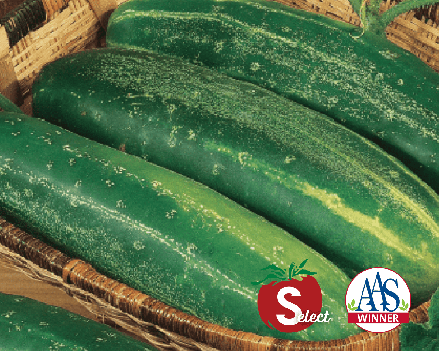 Packet of Straight Eight cucumber seeds from Seeds 'n Such, showing 100 seeds in a clear seed packet.
