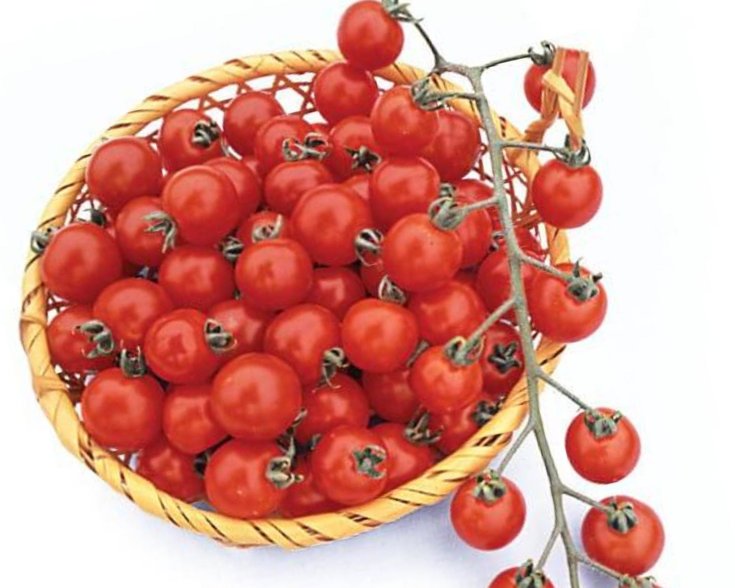 Packet of Seeds 'n Such Suncherry RB Hybrid Tomato Seeds showing 15 seeds in a colorful packet.