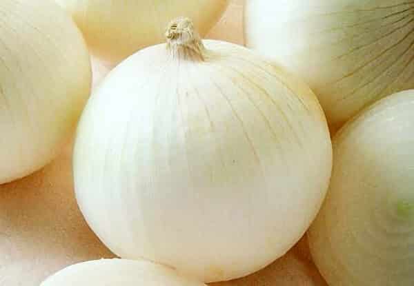 Packet of Sierra Blanca Hybrid Onion Seeds from Seeds 'n Such, showing 200 onion seeds in a clear seed packet.