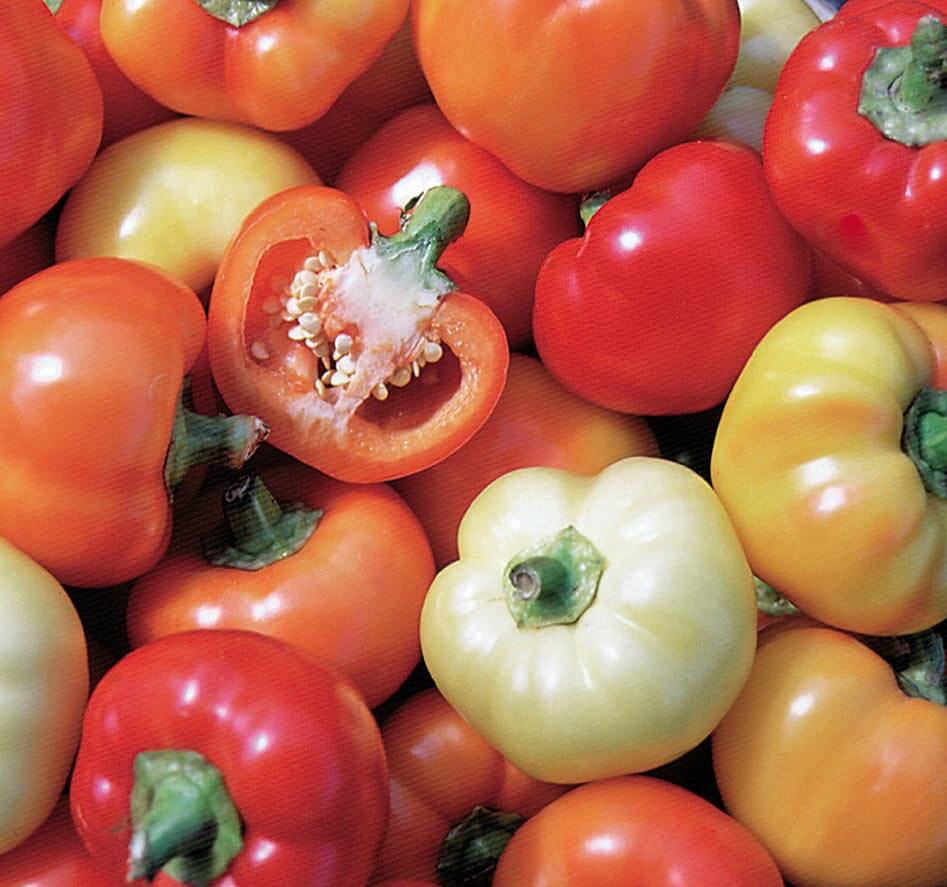 Packet of Seeds 'n Such Alma Paprika Pepper Seeds showing 25 to 30 seeds in a clear packet for planting.