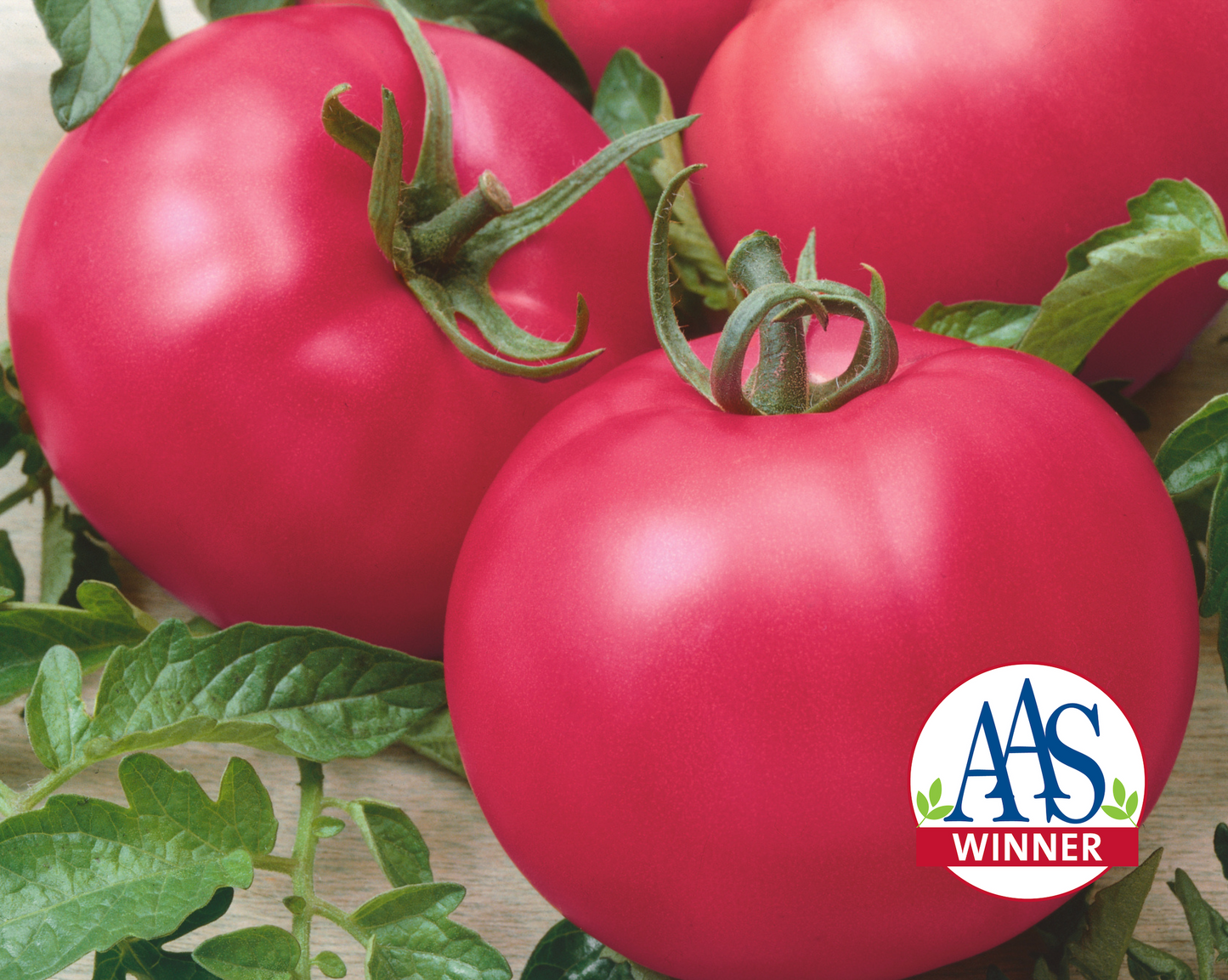 Packet of Chef's Choice Pink Hybrid Tomato Seeds by Seeds 'n Such, featuring 25 to 30 vibrant pink tomato seeds.