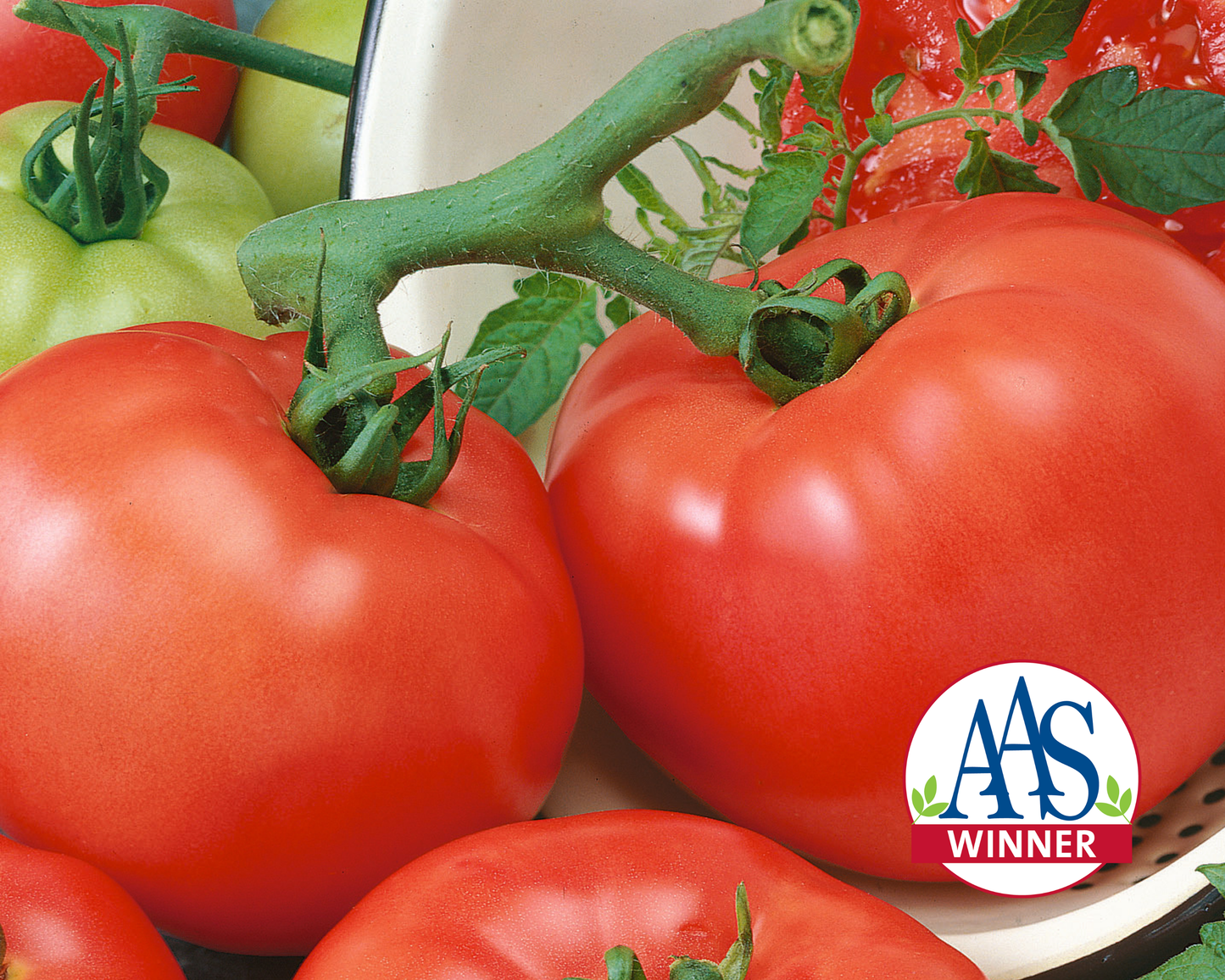 Packet of Seeds 'n Such Chef's™ Choice Red Hybrid Tomato Seeds showing 25 to 30 seeds in a colorful packet.