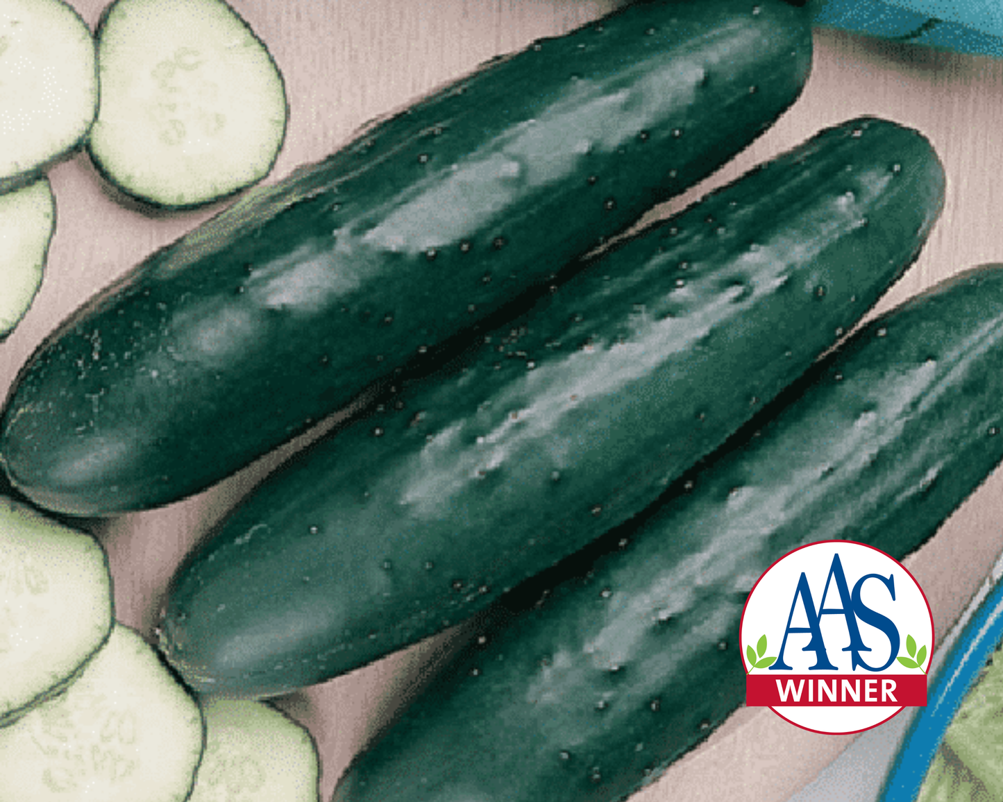 Packet of Fanfare Hybrid Cucumber Seeds from Seeds 'n Such, showing 25 to 30 seeds in a colorful seed packet.