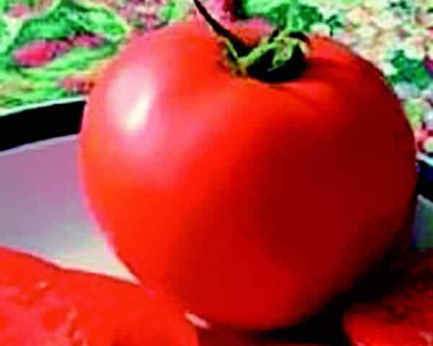 Packet of Seeds 'n Such Legend Tomato Seeds containing 25 to 30 seeds for growing delicious, high-yield tomato plants.