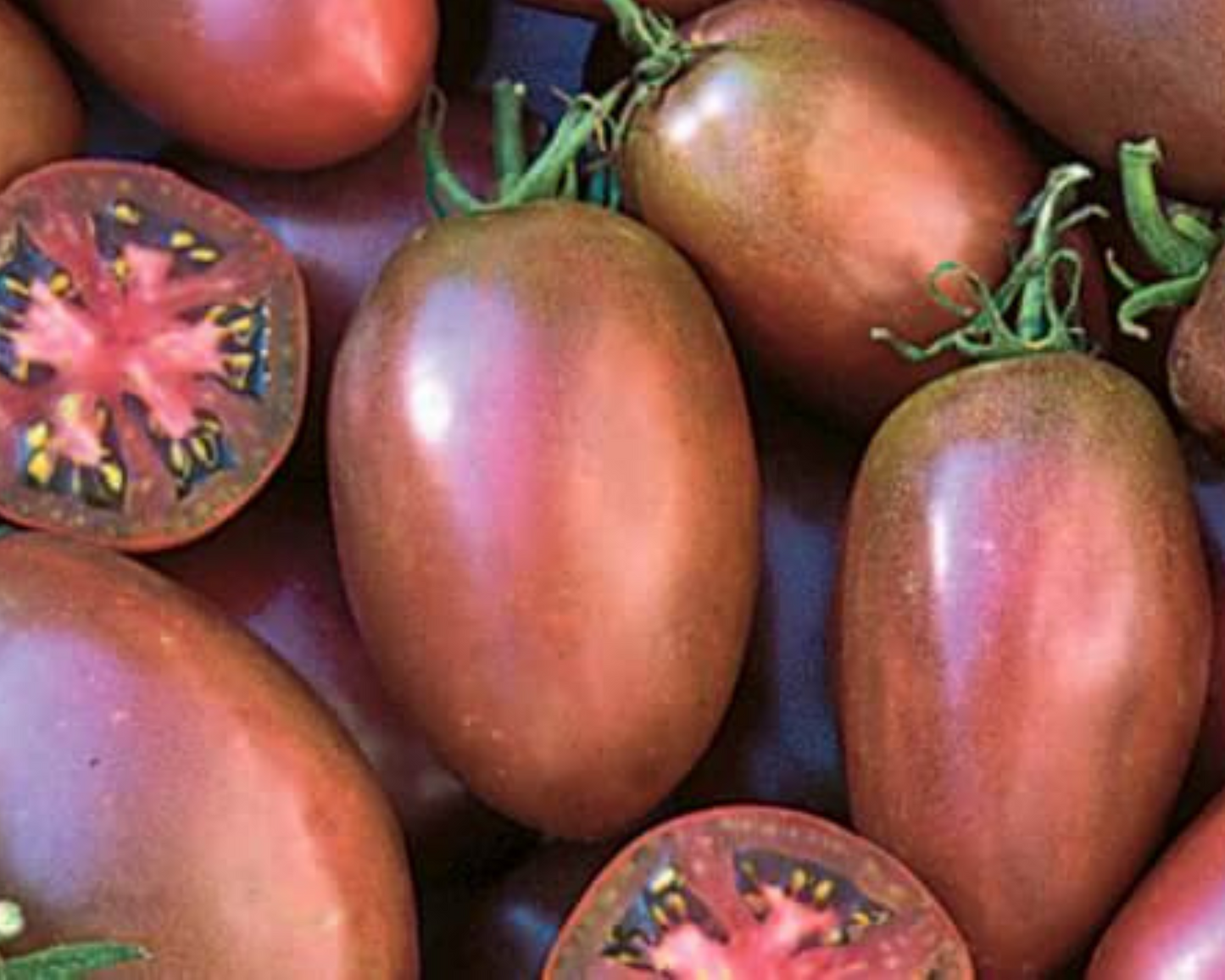 Packet of Seeds 'n Such Purple Russian Tomato Seeds showing 30 seeds in a colorful packet.