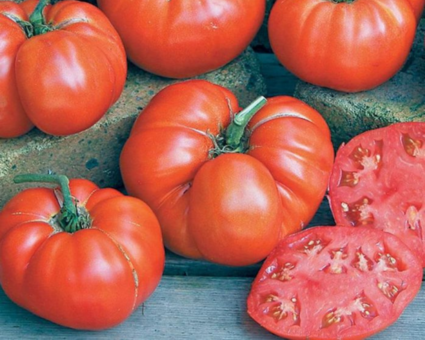 Packet of Seeds 'n Such Beefsteak Tomato Seeds with 50 seeds, large red Ponderosa variety for home gardening.