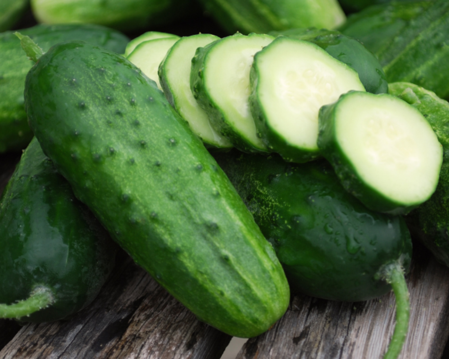 Packet of Seeds 'n Such Boston Pickling Cucumber Seeds showing 50 seeds in a clear packet for home gardening.