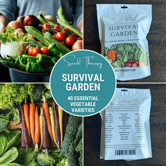 Packet of Southern Seeds Survival Vegetable Garden seeds featuring 40 essential vegetable and medicinal herb crop varieties.