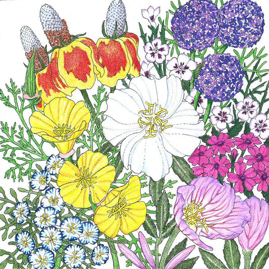 Grow Organic Southwest Wildflower Mix flower seed pack with colorful wildflower seeds for garden planting