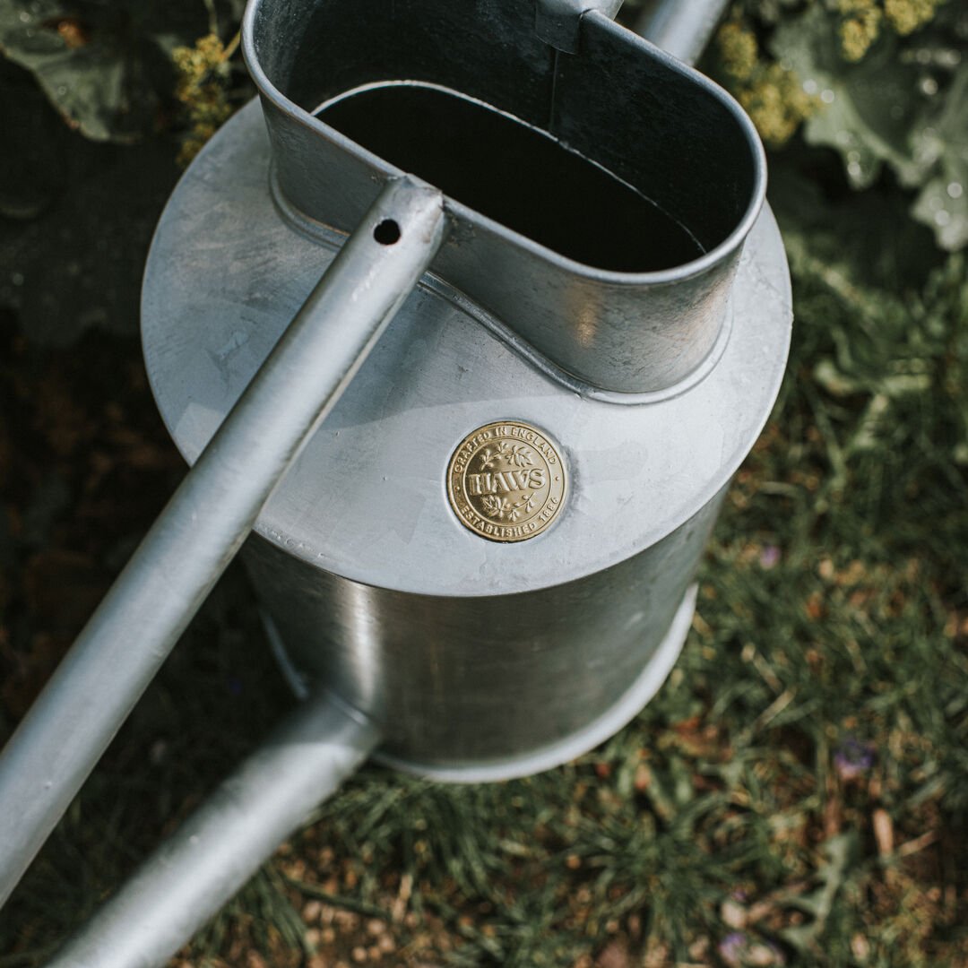Galvanized two-gallon watering can from The Celtic Farm's Warley Fall collection, with a sturdy handle and spout for garden watering.