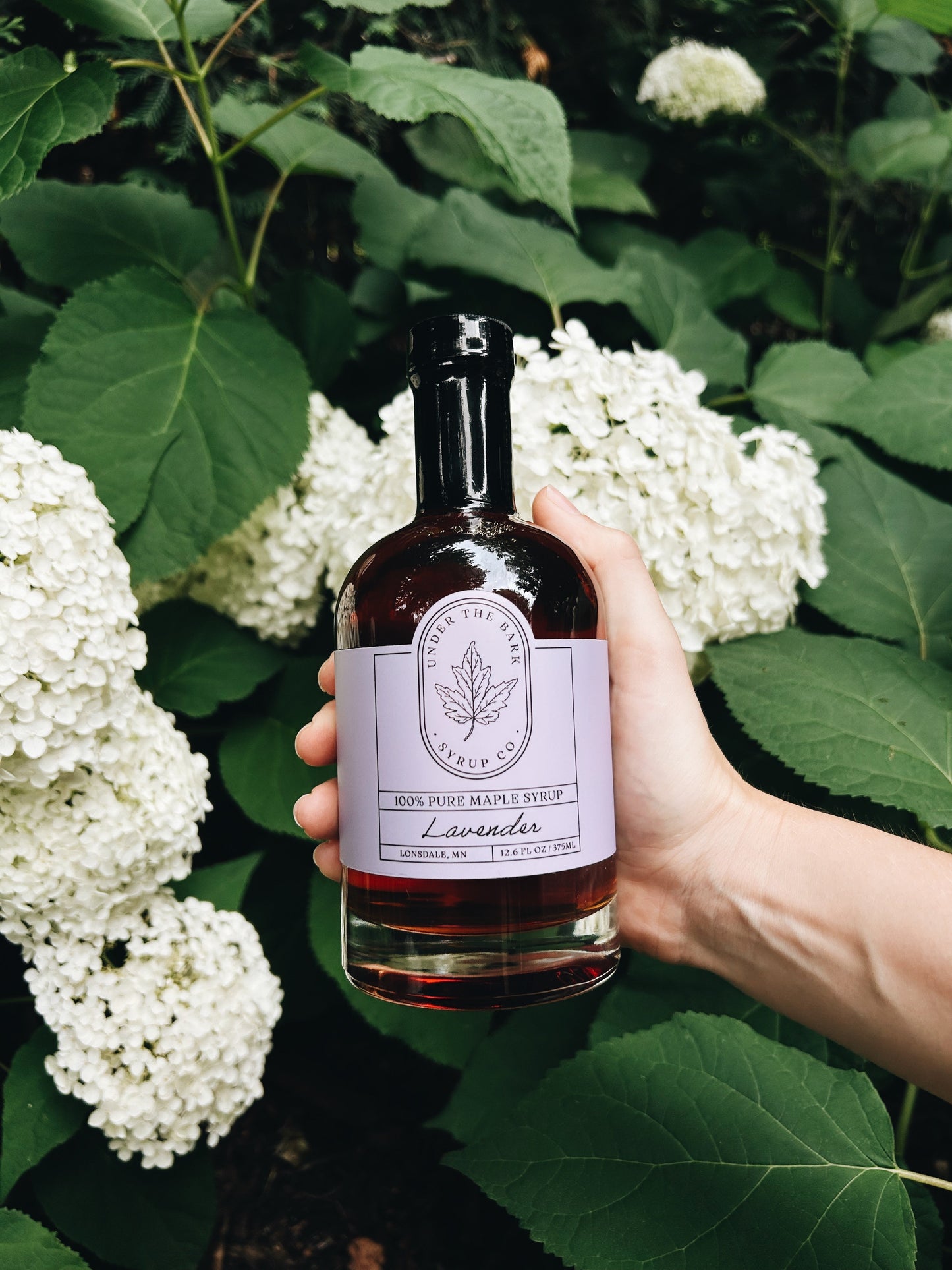 12oz bottle of Lavender Maple Syrup by Under The Bark Syrup Co, showcasing the elegant label and clear glass bottle.