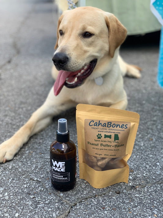 WE Made lavender and lemongrass Stinky Dog Spray bottle with a spray nozzle, designed to neutralize odors on dogs.