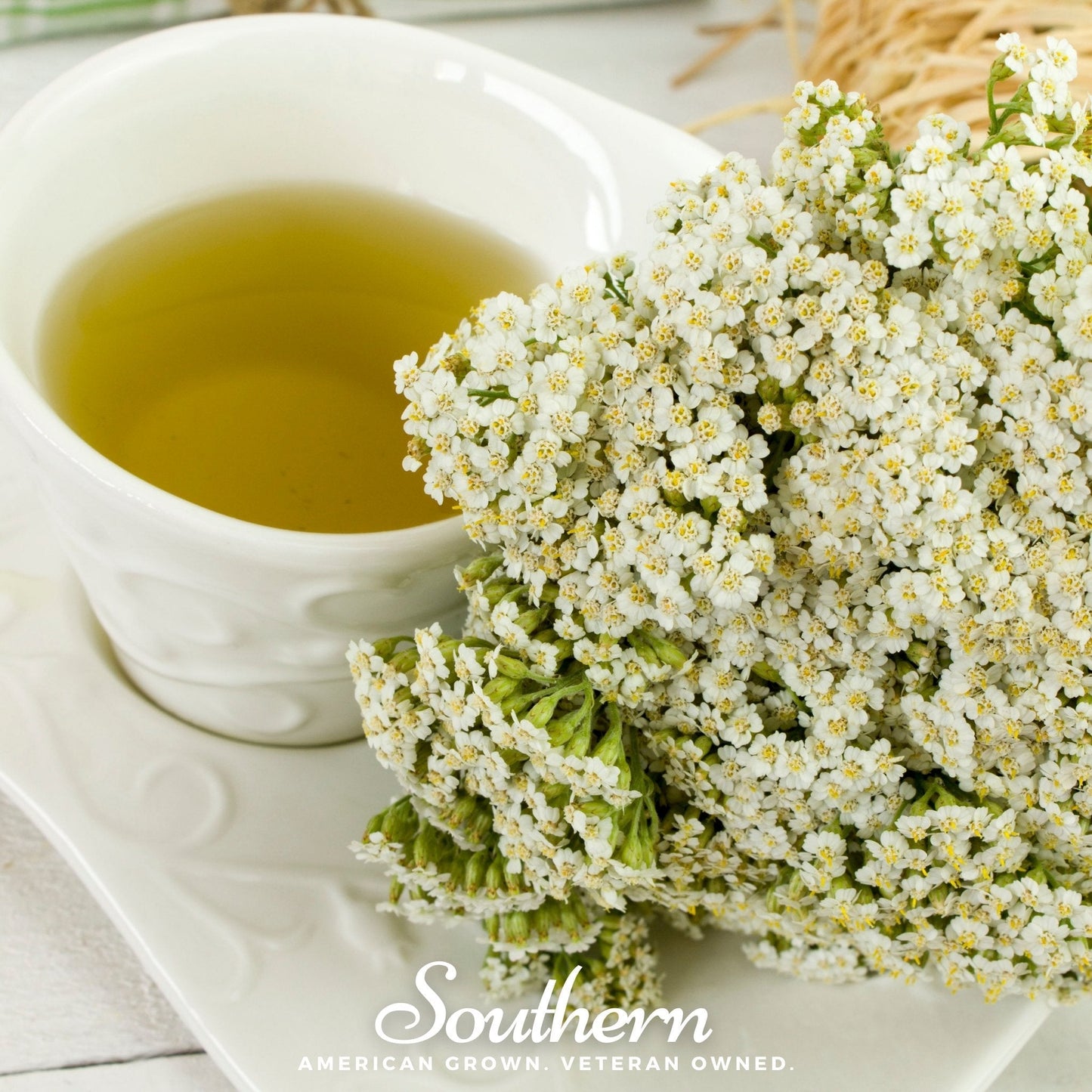 White Yarrow seeds from Southern Seeds, showing 100 seeds of Achillea millefolium in a clear container.