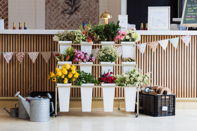 Host a DIY Bloom Bar