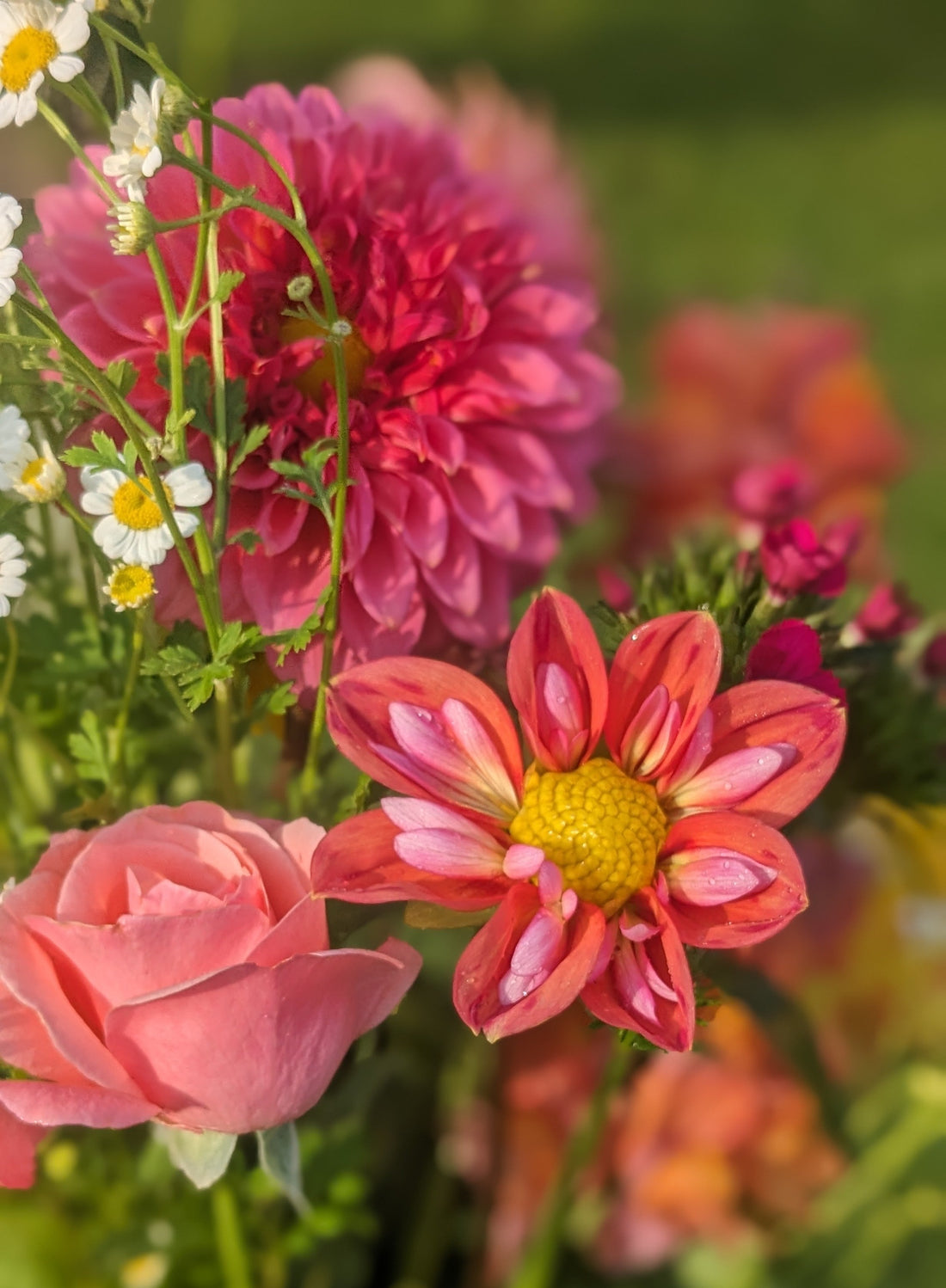 Mother's Day Flowers in Metter and Statesboro Georgia