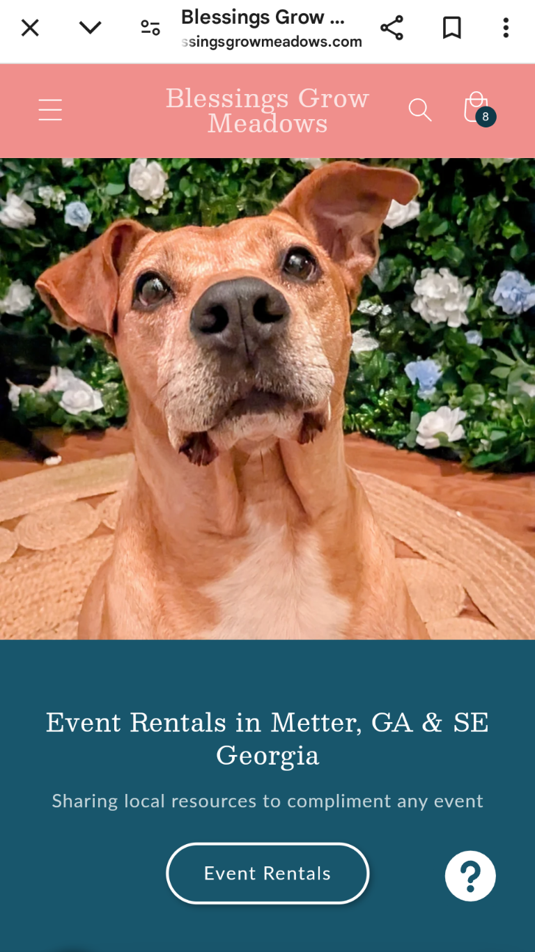 A picture of a brown dog in front of a flower wall from blessings grow meadows homepageGrowing Together: Making Our Website Accessible for Everyone 