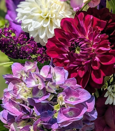 Hydrangea and dahlia fresh bouquet of flowers in purple hues