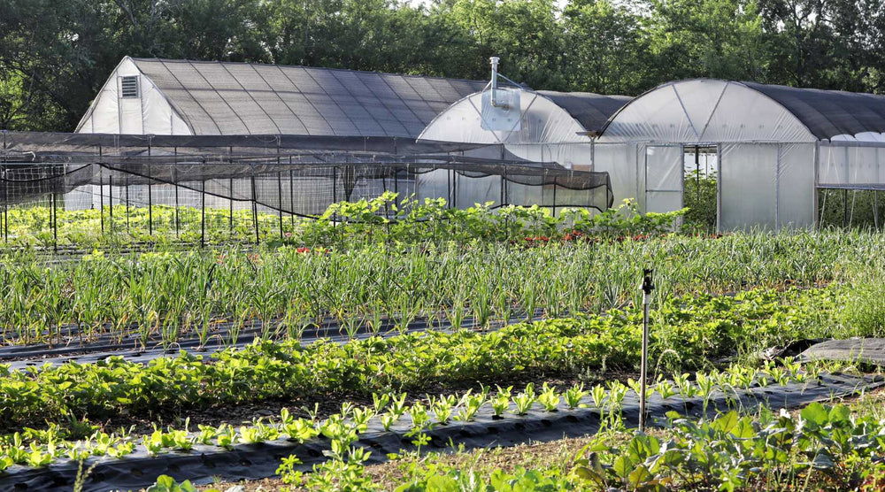 Shade Cloth - Blessings Grow Meadows