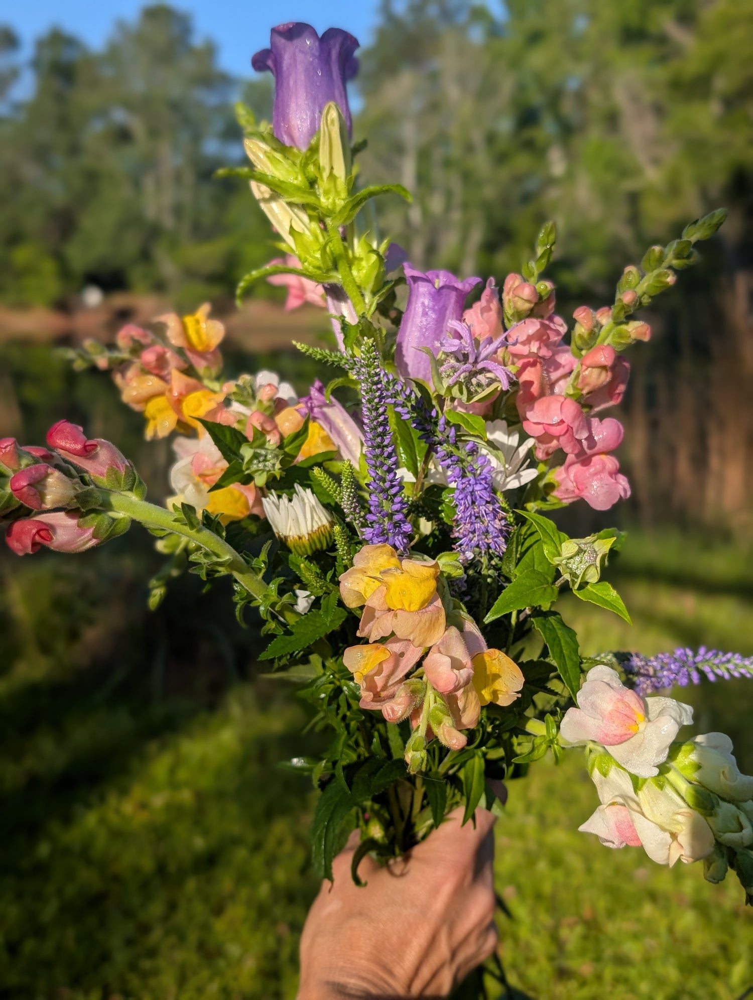 Cutting Garden