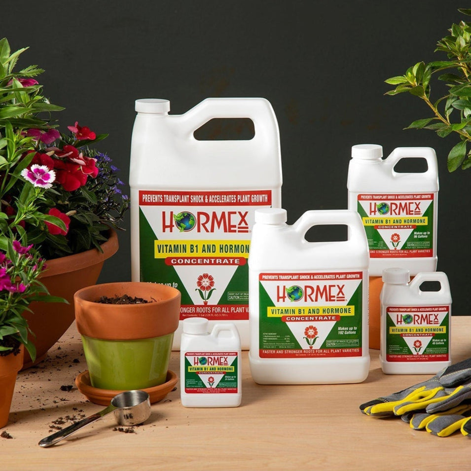 Five Hormex plant vitamin B1 and hormone concentrate bottles are arranged beside a terra cotta pot with soil, a small plant, a gardening scoop, and green leaves on a table.
