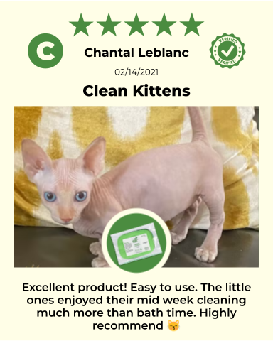 Reusable pet wipes from ReNewedPet for all pets, shown in a graphic review image for grooming and cleaning.