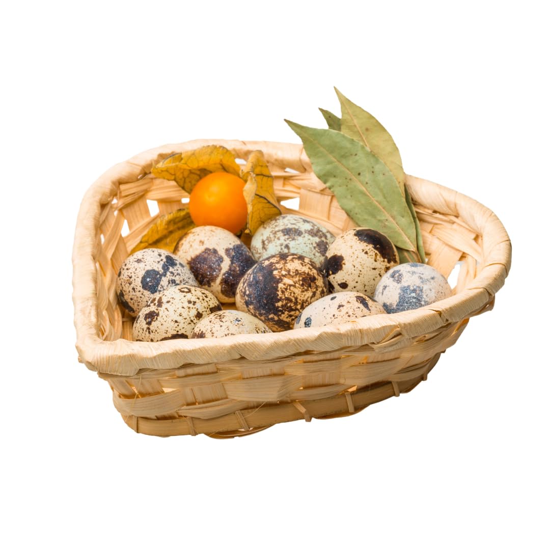 Fresh quail eggs from Quailz.com by Undique LLC, small eggs with speckled shells, laid in the US, on a white background.