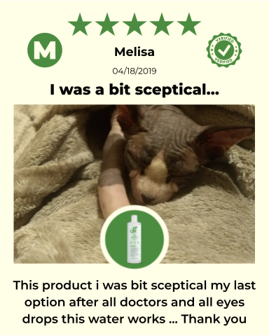 ReNewedPet 4-ALL PETS EYEWASH bottle for pet eye cleaning, with a clear label and applicator tip on a clean background.