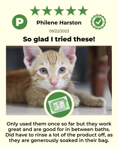 ReNewedPet 4-All Pets reusable pet wipes for grooming, showing a graphic illustration of the eco-friendly wipes and pet grooming tools.