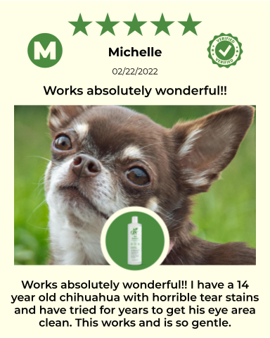 Illustration of four furry dogs representing the ReNewedPet 4-Furry Friends Sensitive Grooming Kit, showcasing grooming tools and products.