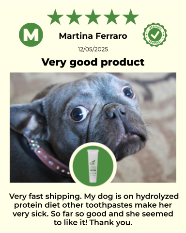 Four furry dogs from ReNewedPet's sensitive grooming kit, showcasing soft fur and grooming tools.