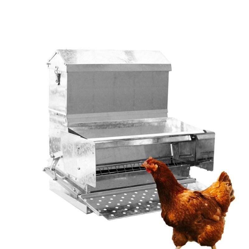 RentACoop 40 lb automatic treadle chicken feeder with metal feed trough and sturdy build, designed to keep feed secure and accessible.