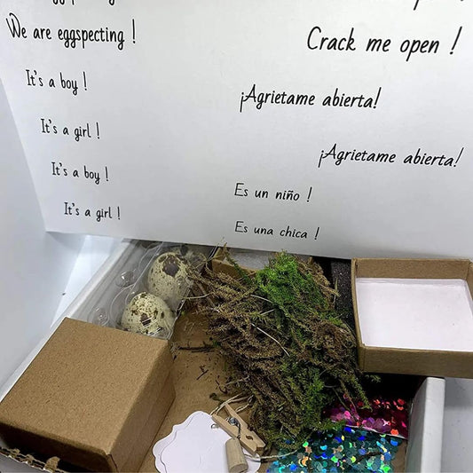 Gender reveal idea with Quailz.com pregnancy announcement kit, featuring hollow quail eggs, glitter, and craft box for baby shower fun.
