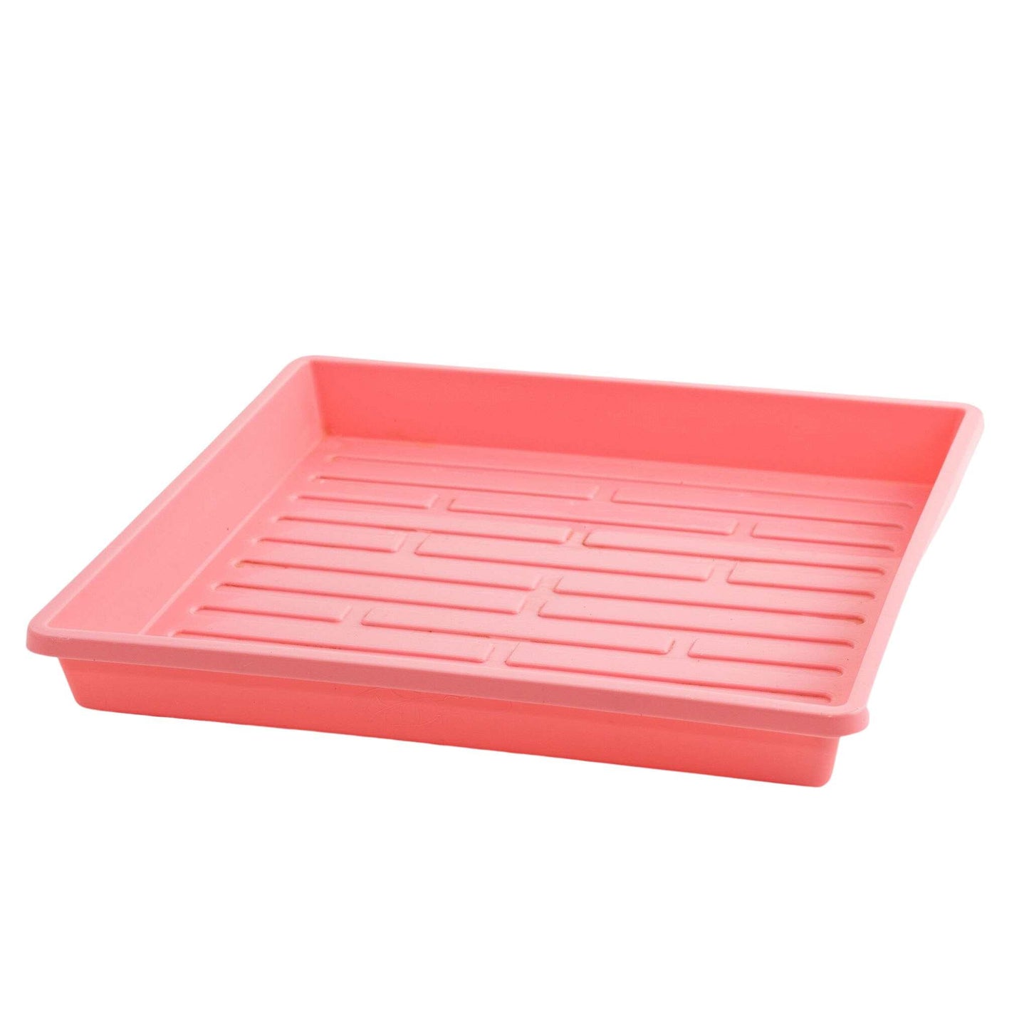 Bootstrap Farmer 1010 Shallow Seed Trays, pink plastic trays with no drainage holes, designed for seed starting and propagation.