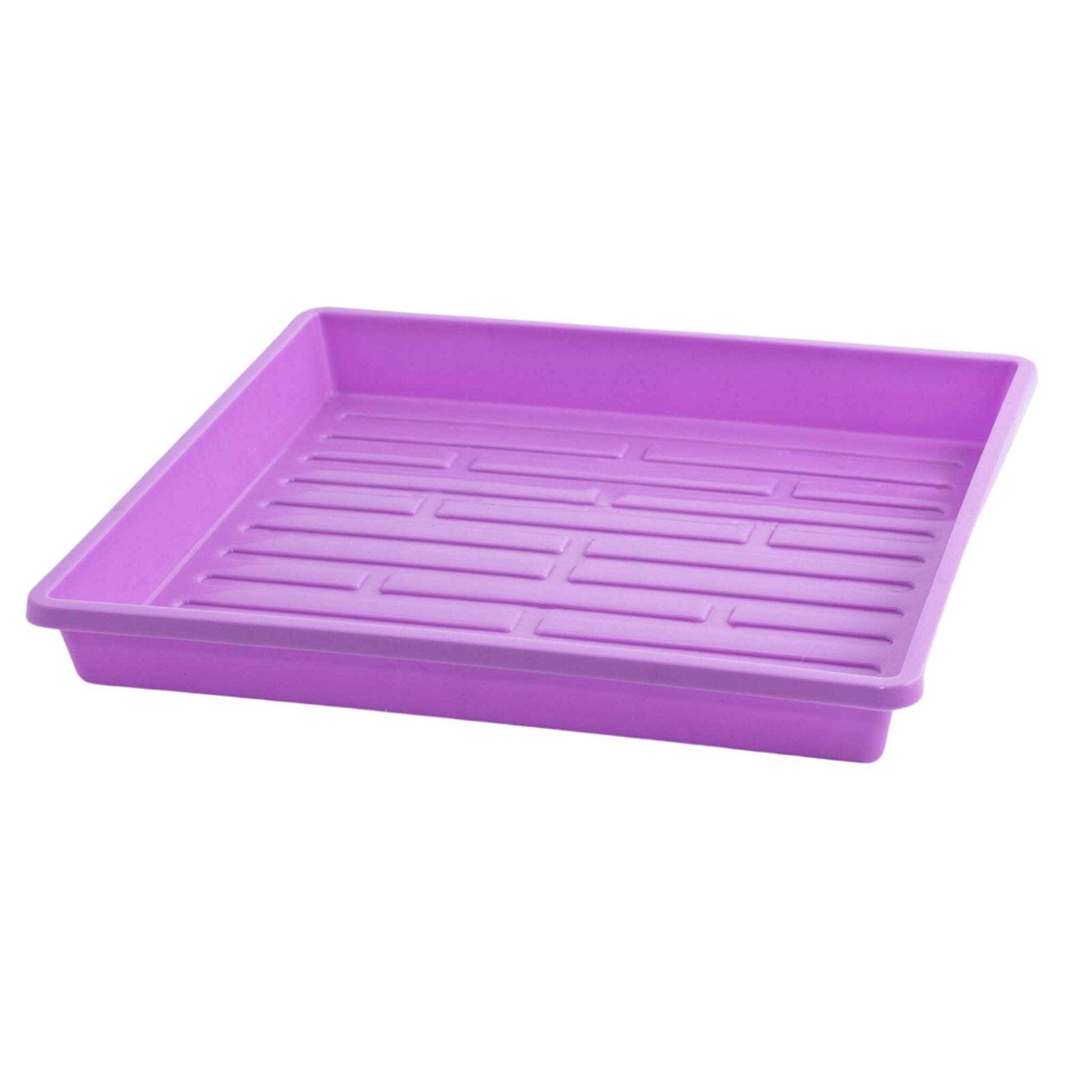 Bootstrap Farmer 1010 shallow seed trays in purple with small holes, ideal for starting seedlings and plant propagation.