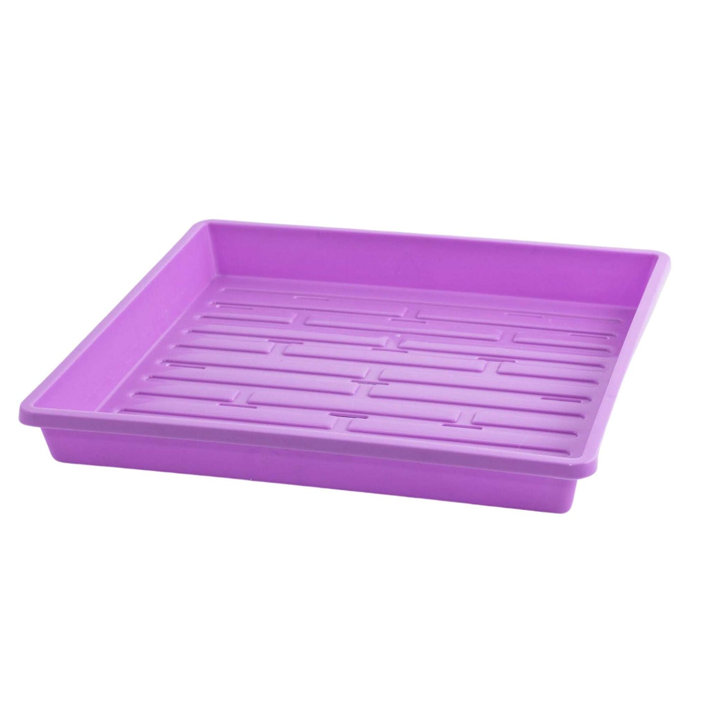 Bootstrap Farmer 1010 shallow seed trays in purple, showing multiple individual trays with shallow compartments for seed starting.