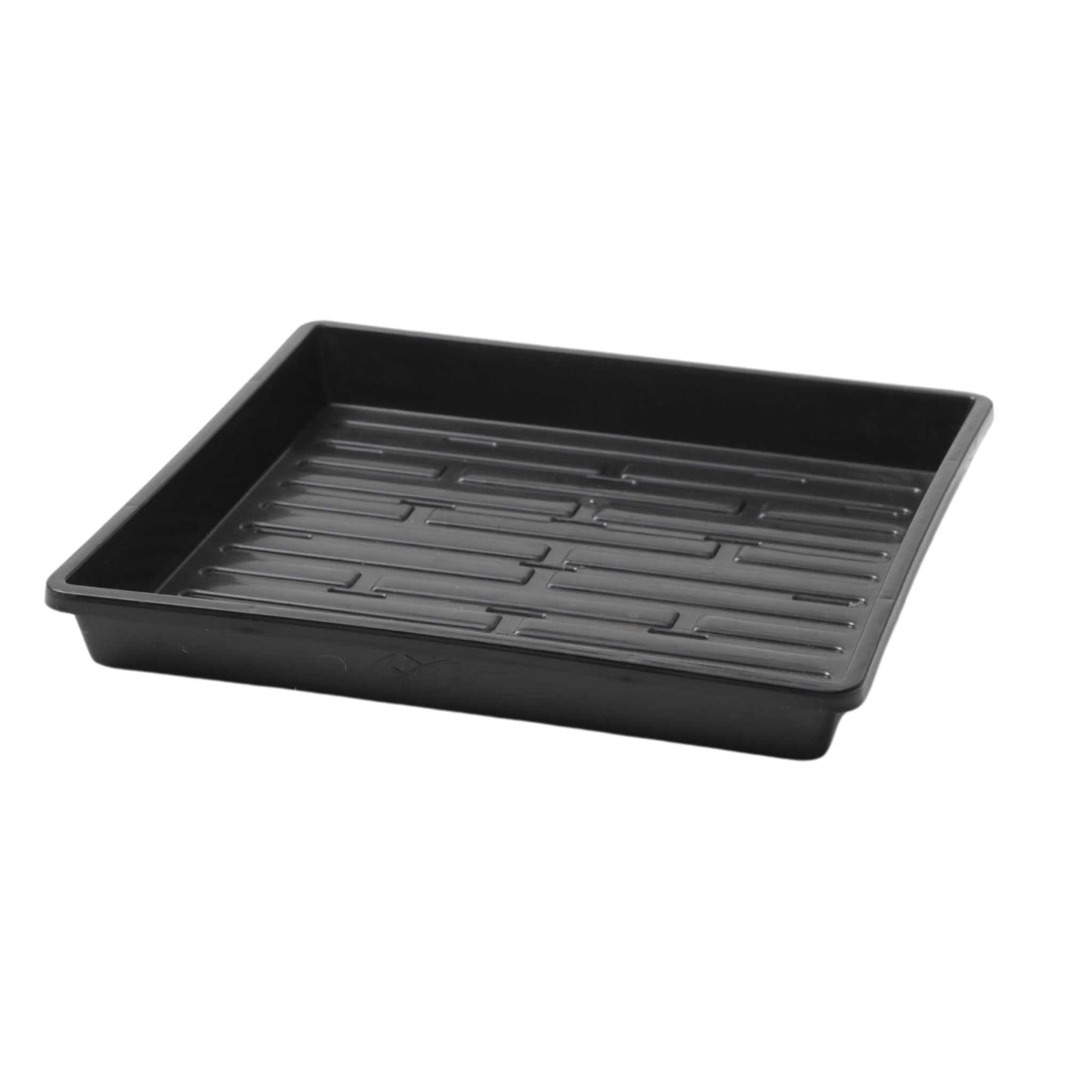 Bootstrap Farmer 1010 shallow seed trays with drainage holes, ideal for starting seedlings and small plant propagation.
