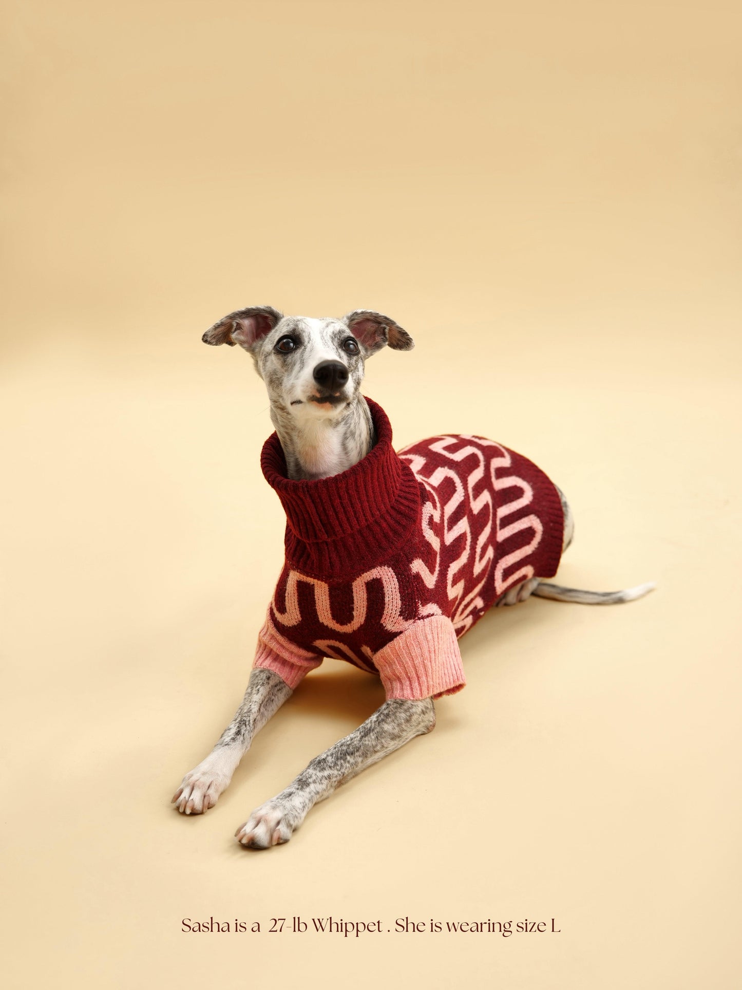 Pink Rosé Bliss Sweater by BarkBarkBaby, cozy knit with a soft texture, perfect for casual wear and chilly days.