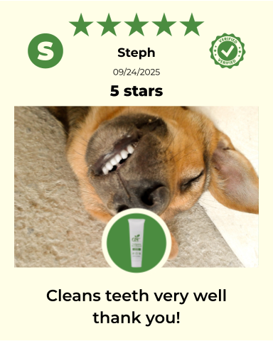 Four furry dogs from ReNewedPet's regular grooming kit, showing fluffy coats and playful expressions.