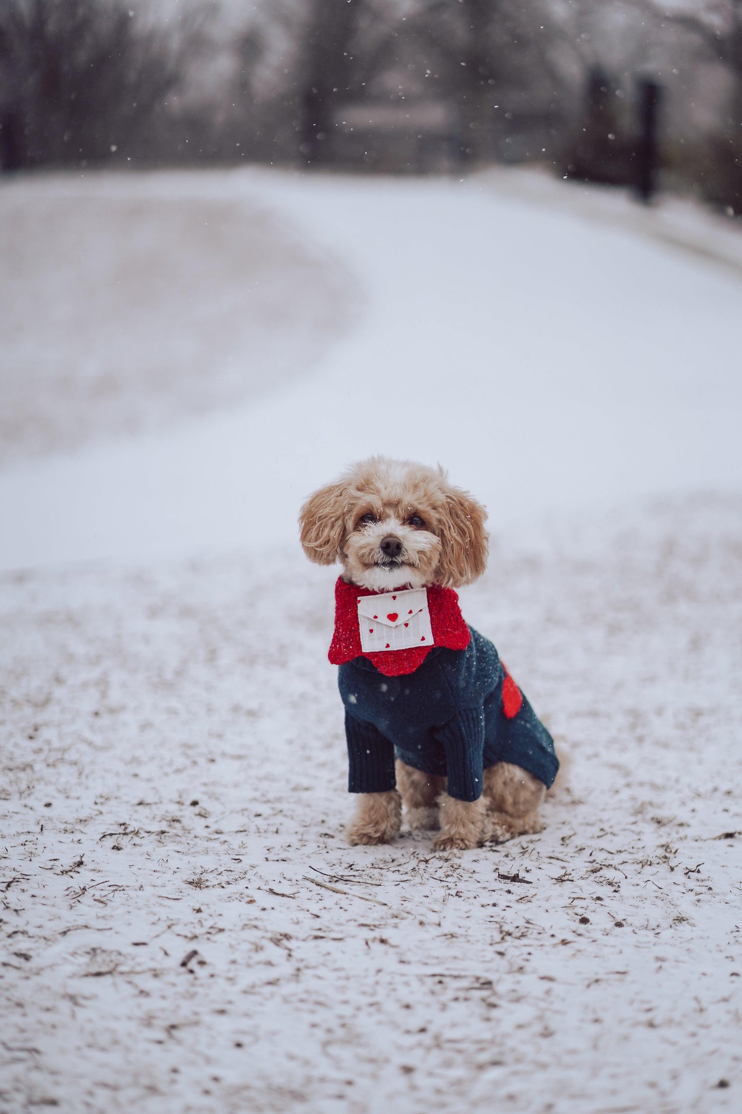 Reversible handmade Love Note bandana by BarkBarkBaby featuring colorful fabric with love-themed print for pets.