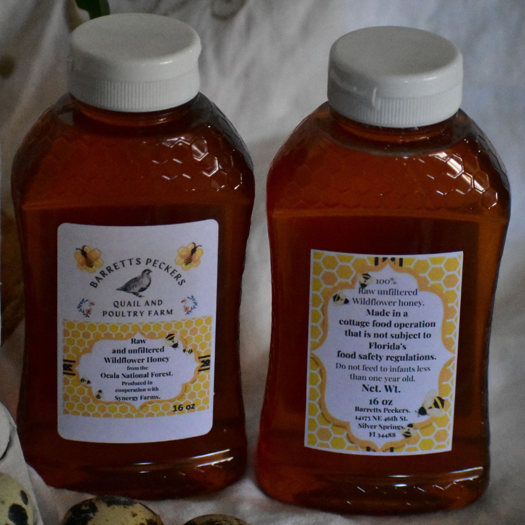 Raw wildflower honey from Ocala National Forest, produced by Quailz.com by Undique LLC, in a jar with a golden, unfiltered appearance.