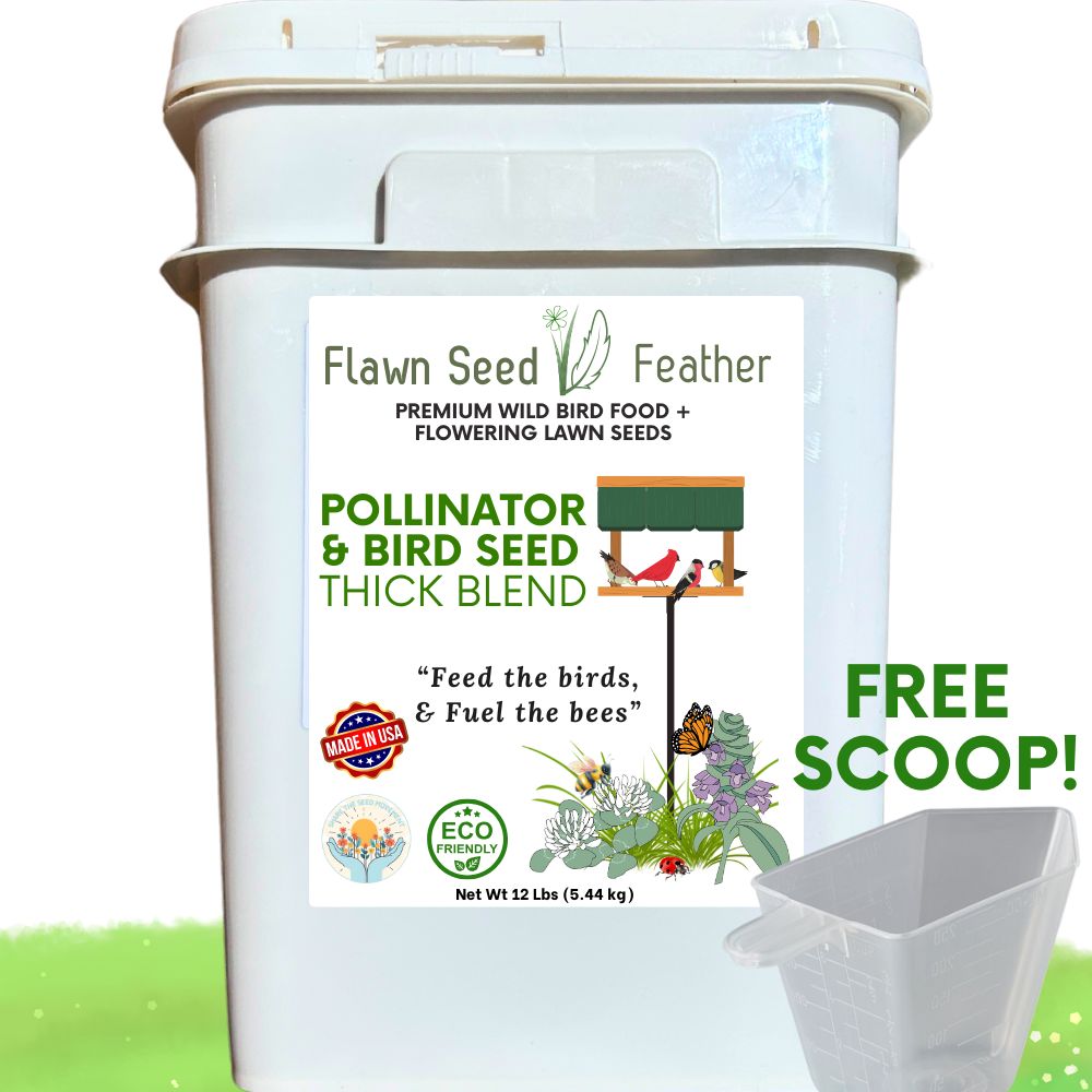 12lb Flawn Seed Kits Pollinator & Wild Bird Seed Thick Bee Lawn Blend in a sturdy pail, designed to attract bees and wild birds.