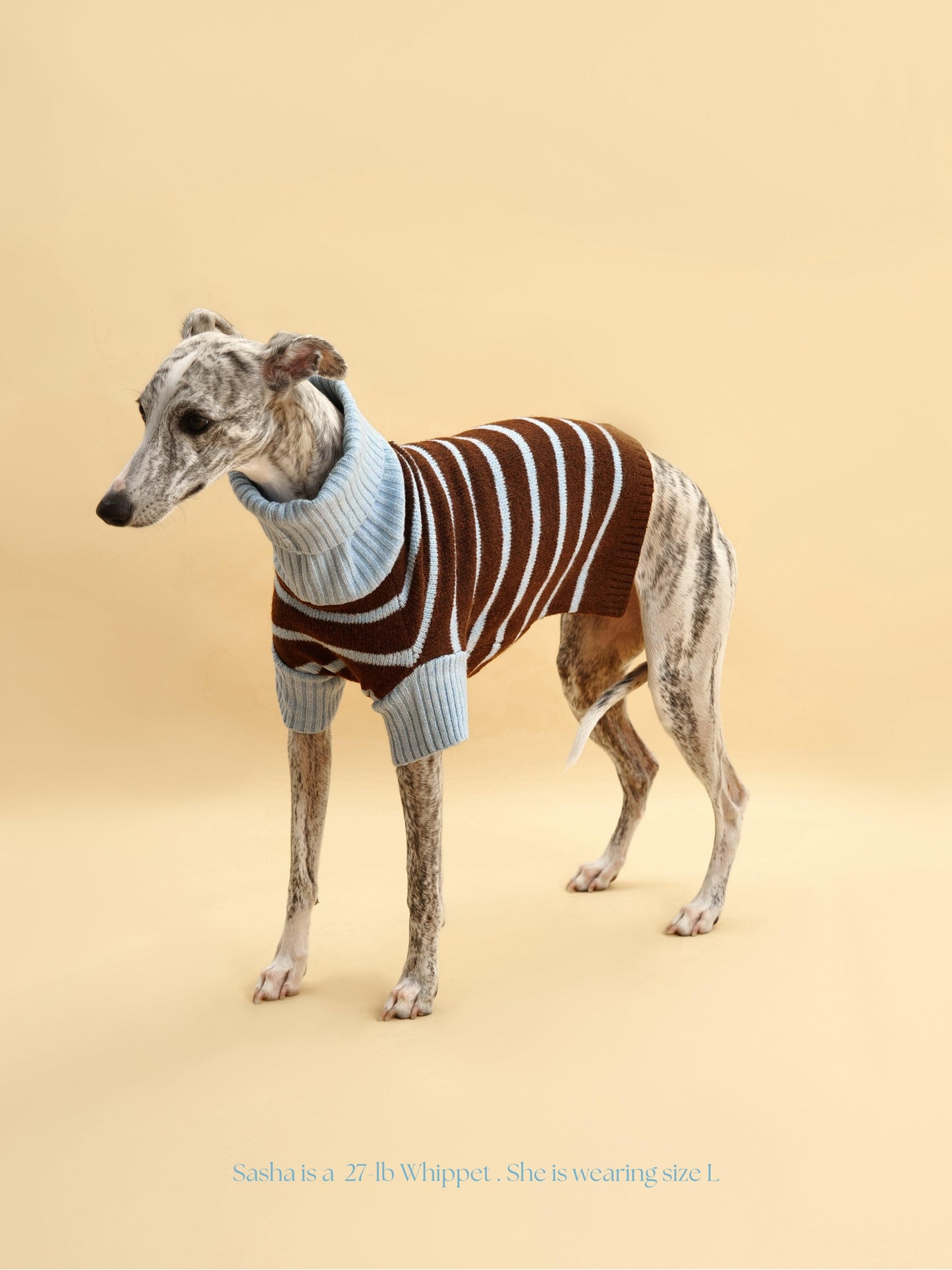 Bluebell Stripes Sweater by BarkBarkBaby featuring blue and white striped knit fabric for cozy comfort.