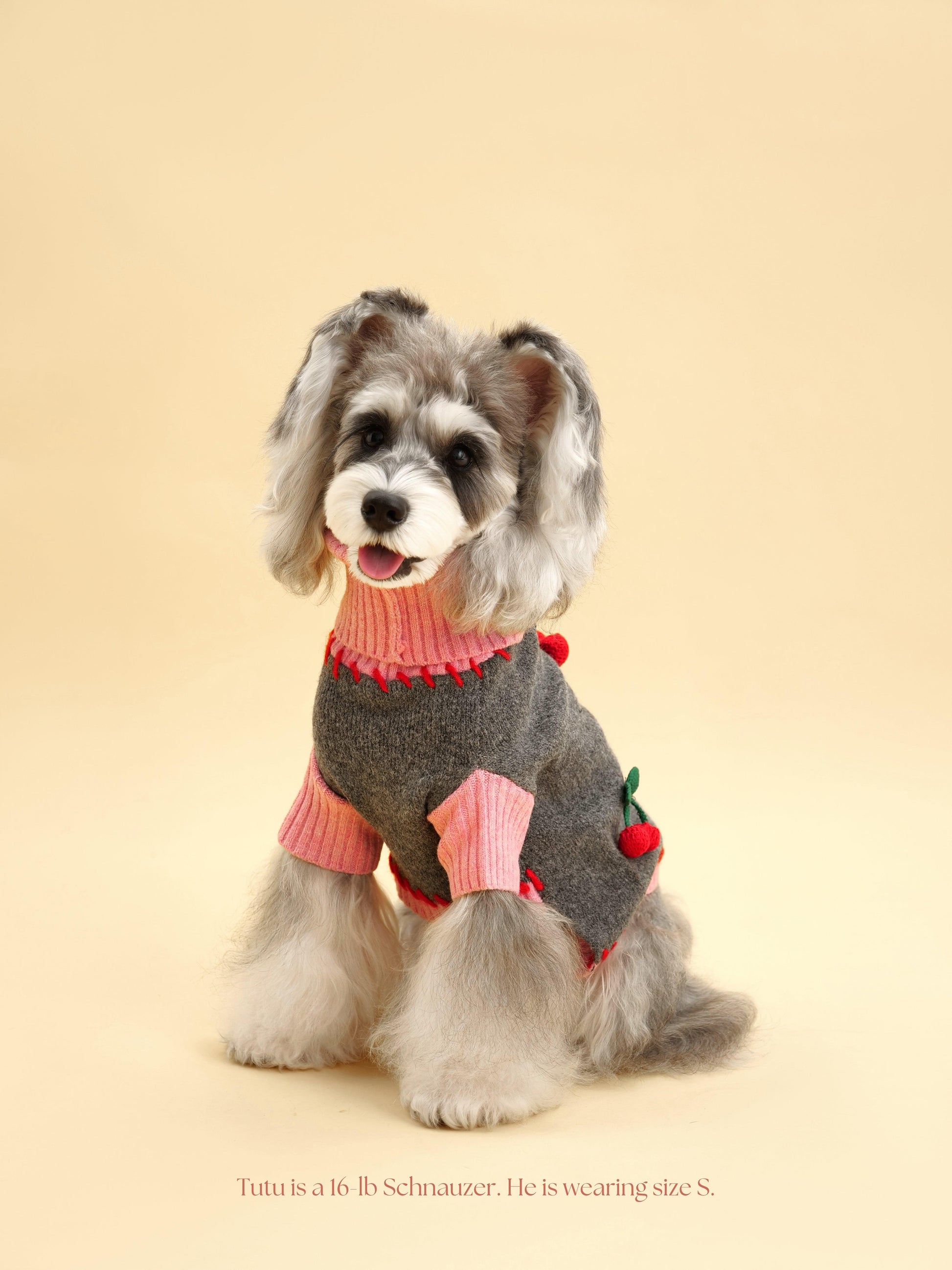 Cherry Kiss Sweater by BarkBarkBaby featuring a cozy knit fabric with cherry patterns in vibrant red and white colors.