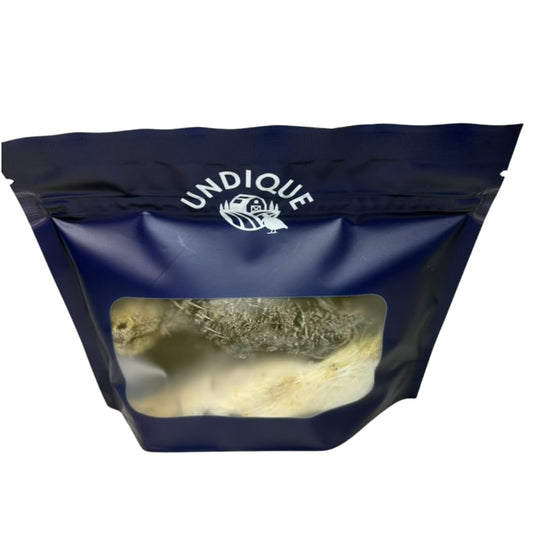 Three Buddy's Pretty Birds Whole Quail Chicks XL from Quailz.com by Undique LLC, showcasing healthy, young quail chicks.
