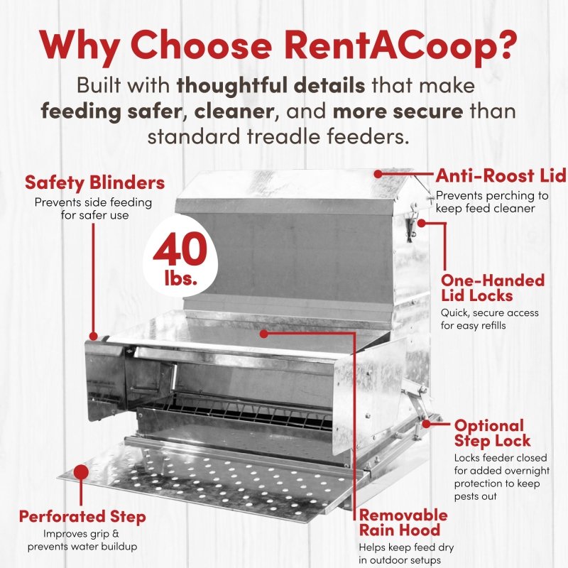 RentACoop 40 lb automatic treadle chicken feeder with metal trough and durable design for poultry feeding.