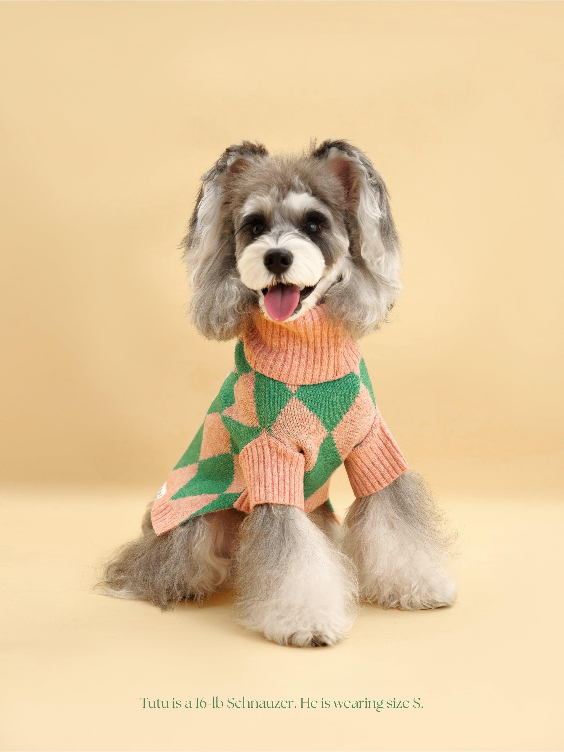 BarkBarkBaby Sunday Brunch in Brooklyn sweater featuring a cozy knit with colorful brunch-themed patterns.