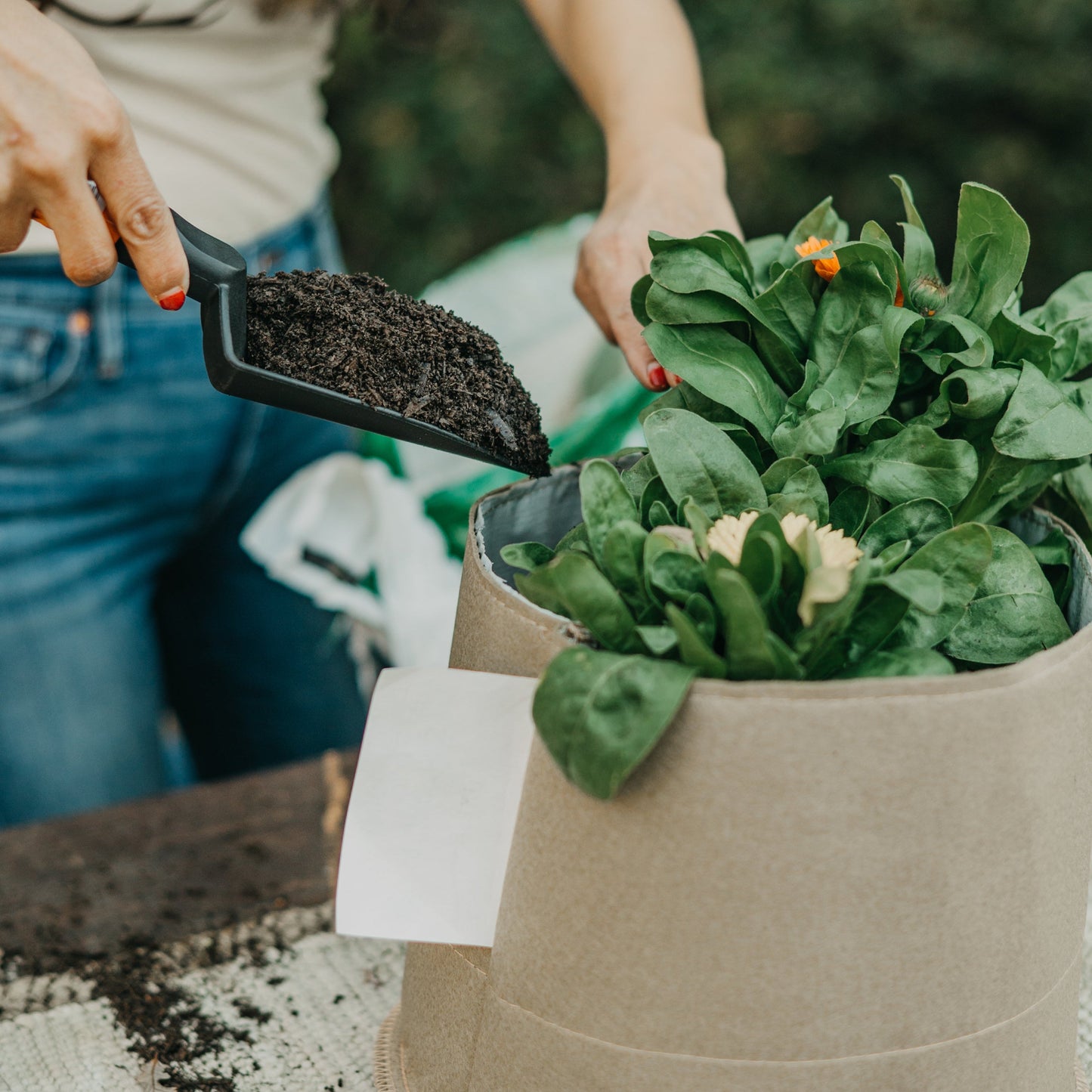 Living Soil Fabric Pot by Grassroots Fabric Pots, showing a breathable, flexible fabric container for healthy plant growth.