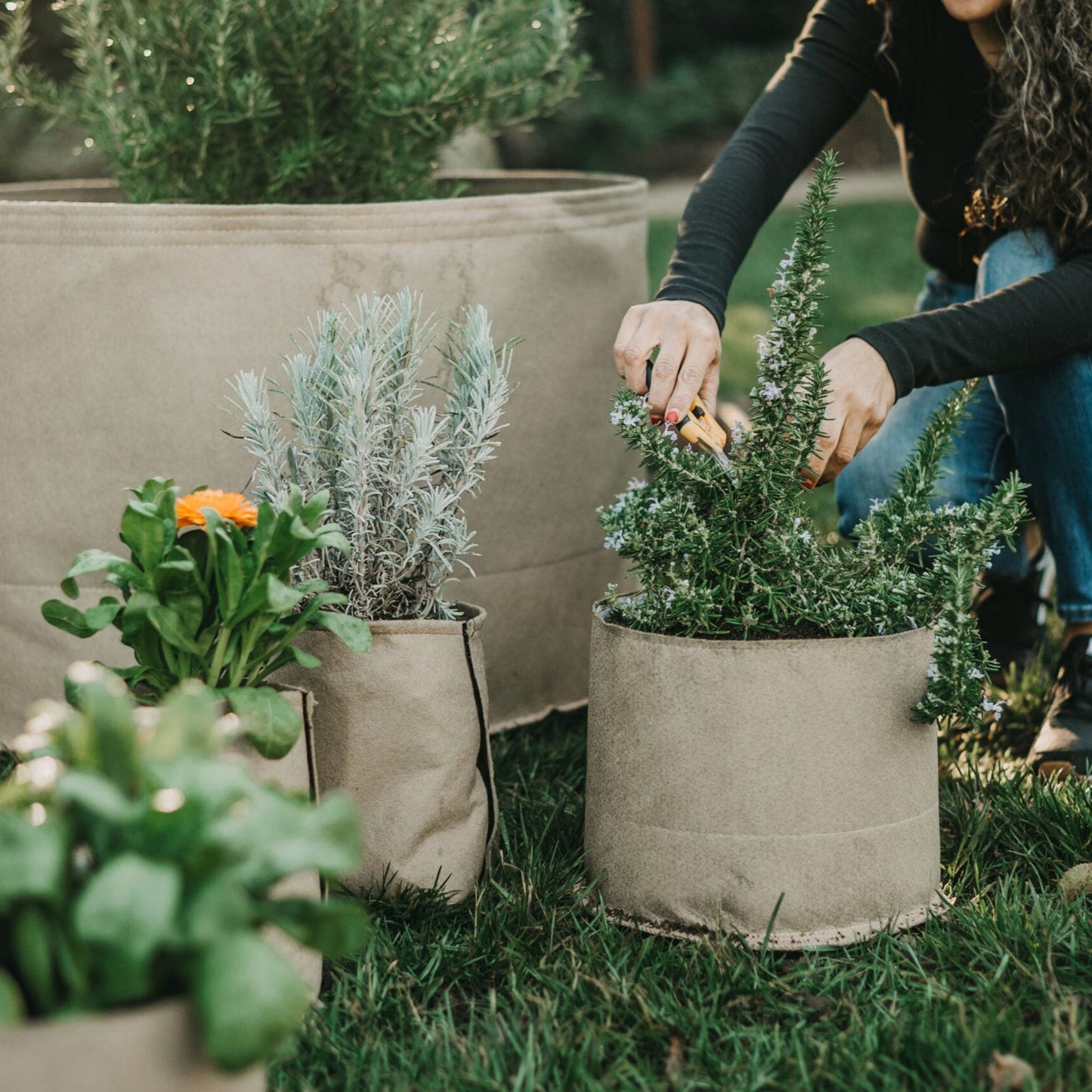 Living Soil Fabric Pot by Grassroots Fabric Pots, a durable fabric container with soil and plants inside, suitable for gardening.