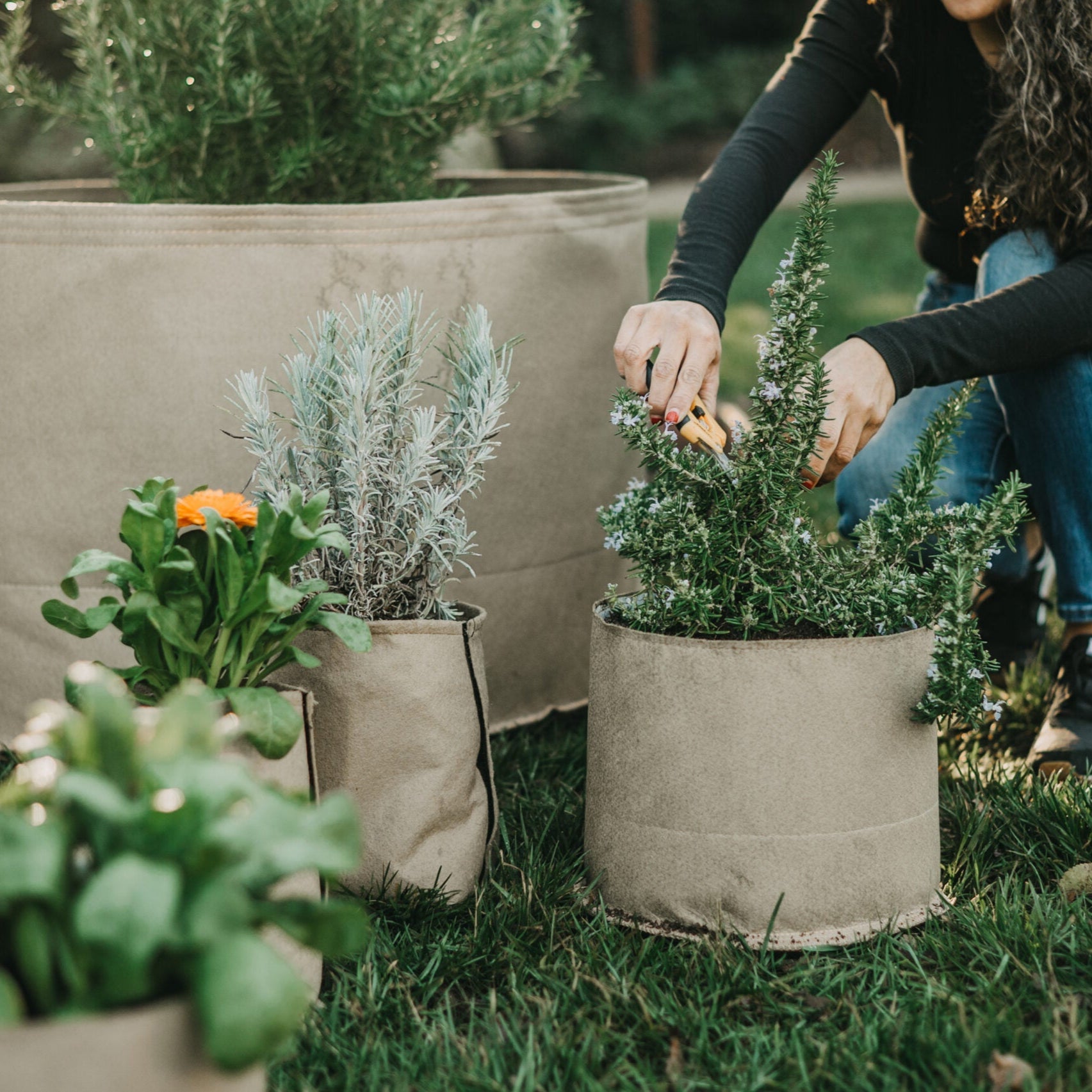 Living Soil Fabric Pot by Grassroots Fabric Pots, a durable fabric container with soil and plants inside, suitable for gardening.