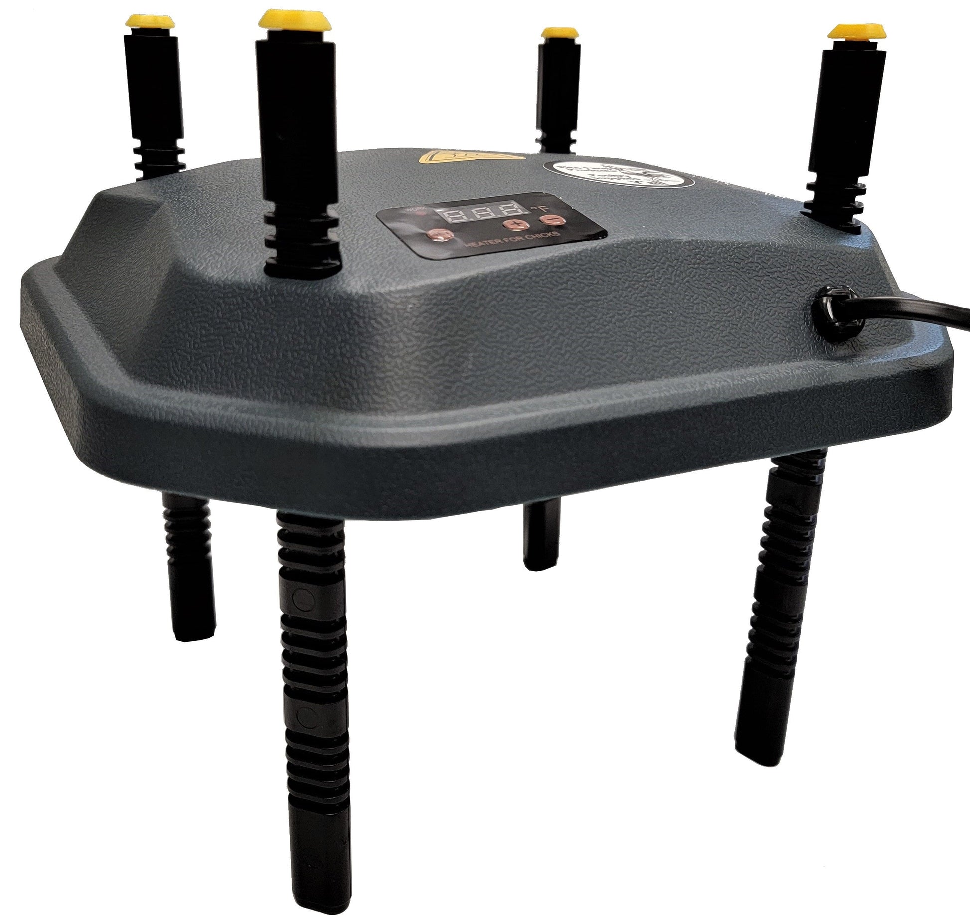 Digital 10x10 inch chick brooder heating plate with adjustable temperature, ideal for chickens, ducks, geese, and pheasants.